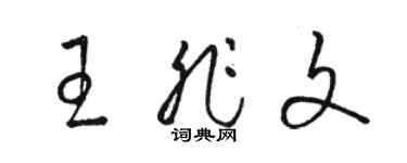 駱恆光王非文草書個性簽名怎么寫