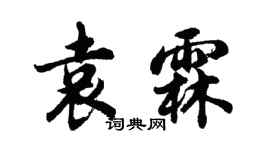 胡問遂袁霖行書個性簽名怎么寫