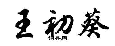 胡問遂王初葵行書個性簽名怎么寫