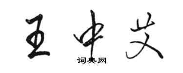 駱恆光王中艾行書個性簽名怎么寫