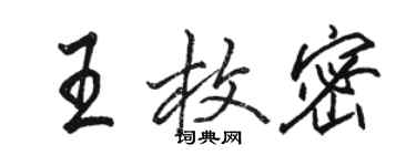 駱恆光王枚密行書個性簽名怎么寫