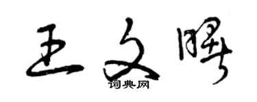 曾慶福王文曙草書個性簽名怎么寫