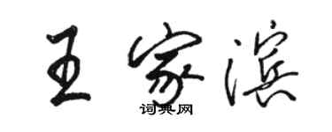 駱恆光王家濱行書個性簽名怎么寫