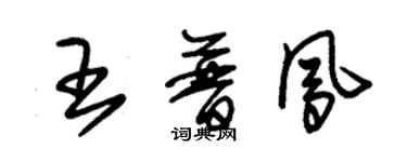 朱錫榮王普鳳草書個性簽名怎么寫