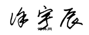 朱錫榮徐宇辰草書個性簽名怎么寫