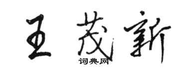 駱恆光王茂新行書個性簽名怎么寫