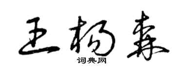 曾慶福王楊森草書個性簽名怎么寫