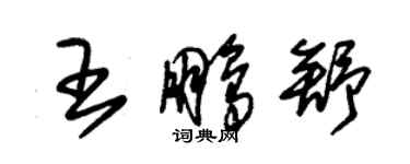 朱錫榮王鵬舒草書個性簽名怎么寫