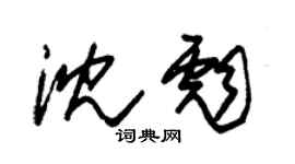 朱錫榮沈彪草書個性簽名怎么寫