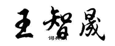 胡問遂王智晟行書個性簽名怎么寫