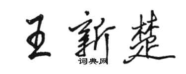 駱恆光王新楚行書個性簽名怎么寫