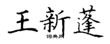 丁謙王新蓬楷書個性簽名怎么寫