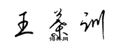 梁錦英王葉訓草書個性簽名怎么寫