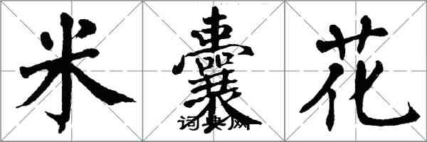 翁闓運米囊花楷書怎么寫