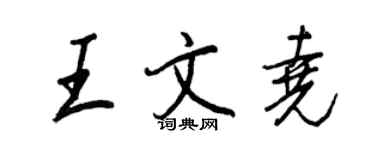 王正良王文堯行書個性簽名怎么寫
