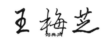 駱恆光王梅芝行書個性簽名怎么寫