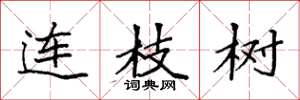 袁強連枝樹楷書怎么寫