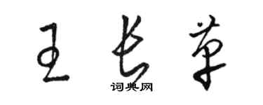 駱恆光王長革草書個性簽名怎么寫