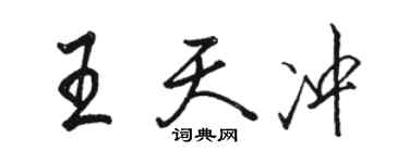 駱恆光王天沖行書個性簽名怎么寫