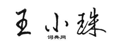 駱恆光王小珠行書個性簽名怎么寫