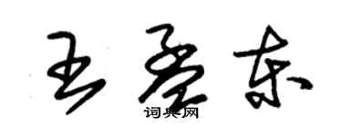 朱錫榮王孟東草書個性簽名怎么寫