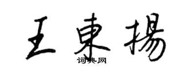 王正良王東揚行書個性簽名怎么寫