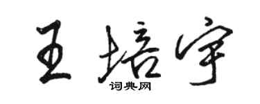 駱恆光王培宇行書個性簽名怎么寫