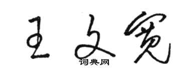 駱恆光王文寬草書個性簽名怎么寫