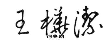 駱恆光王樺潔草書個性簽名怎么寫