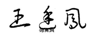 曾慶福王廷鳳草書個性簽名怎么寫