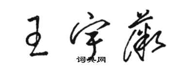 駱恆光王宇薇草書個性簽名怎么寫