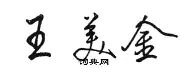 駱恆光王美金行書個性簽名怎么寫