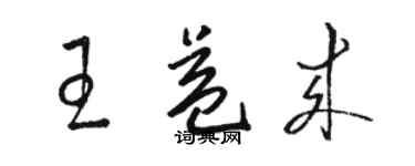 駱恆光王益來草書個性簽名怎么寫