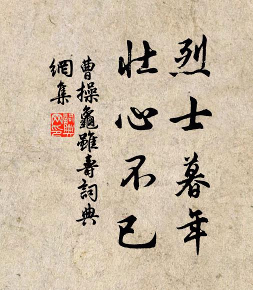 曹操烈士暮年,壯心不已。書法作品欣賞
