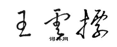 駱恆光王雲標草書個性簽名怎么寫