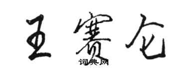 駱恆光王賽侖行書個性簽名怎么寫