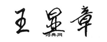 駱恆光王顯章行書個性簽名怎么寫