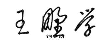 駱恆光王野學草書個性簽名怎么寫