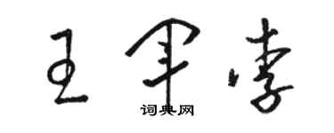 駱恆光王軍李草書個性簽名怎么寫