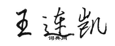 駱恆光王連凱行書個性簽名怎么寫