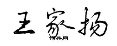 曾慶福王家揚行書個性簽名怎么寫