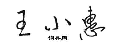 駱恆光王小惠草書個性簽名怎么寫