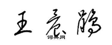 梁錦英王晨鵑草書個性簽名怎么寫