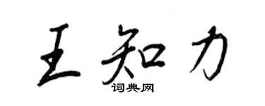 王正良王知力行書個性簽名怎么寫