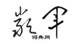 駱恆光嚴軍草書個性簽名怎么寫