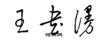 駱恆光王書漫草書個性簽名怎么寫