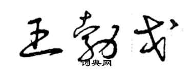 曾慶福王勃戈草書個性簽名怎么寫