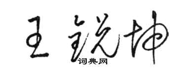 駱恆光王銳坤草書個性簽名怎么寫