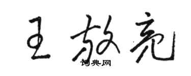 駱恆光王放亮草書個性簽名怎么寫