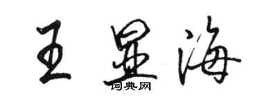 駱恆光王顯海行書個性簽名怎么寫